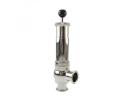 Safety Relief Valve - ASV1108